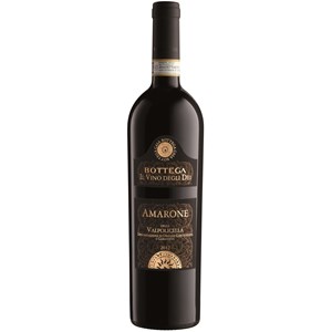 Bottega Amarone Valpolicella DOCG punaviini